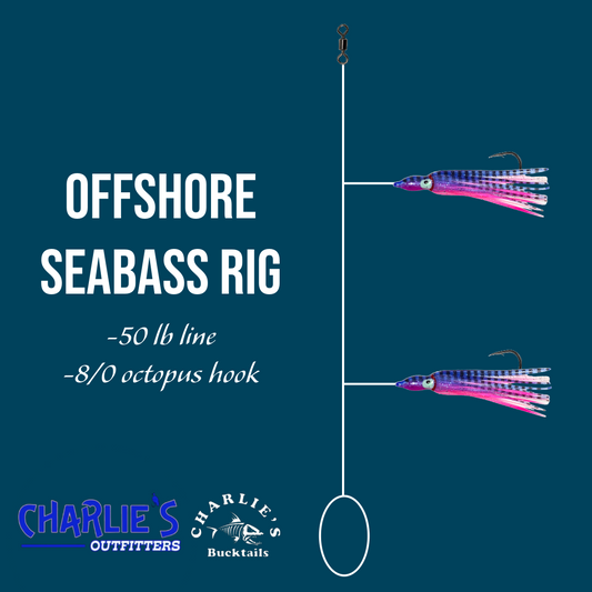 Offshore seabass rig